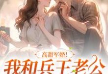 高甜军婚！我和兵王老公生崽超幸福小说，高甜军婚！我和兵王老公生崽超幸福章节在线阅读-够力荐小说推荐网