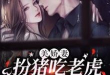 寻找能够免费阅读美娇妻扮猪吃老虎，爆改懒汉老公小说的平台-够力荐小说推荐网
