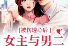 冯芜傅司九是哪本书的主角？被伤透心后，女主与男二在一起了免费读-够力荐小说推荐网