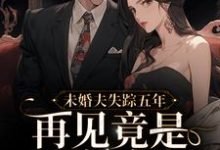 小说《未婚夫失踪五年:再见竟是别人丈夫》章节免费阅读-够力荐小说推荐网
