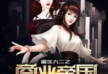 重生九二之商业帝国小说,重生九二之商业帝国免费阅读-够力荐小说推荐网