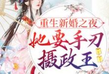 男女主人公宋音书萧御辞小说重生新婚之夜，她要手刃摄政王章节免费阅读-够力荐小说推荐网
