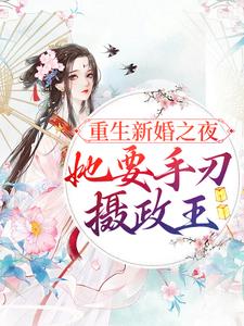 男女主人公宋音书萧御辞小说重生新婚之夜，她要手刃摄政王章节免费阅读