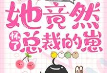 一夜情后，她竟然怀了总裁的崽免费阅读，一夜情后，她竟然怀了总裁的崽章节目录-够力荐小说推荐网