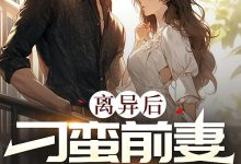离异后，刁蛮前妻想复婚在线阅读_杨子烟-够力荐小说推荐网