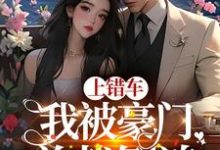 上错车,我被豪门总裁倒追这本小说在哪里可以看?哪里有免费试读章节?-够力荐小说推荐网