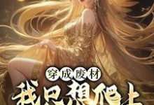 穿成废材，我只想爬上女帝龙床小说最新更新在哪里？免费在线看-够力荐小说推荐网
