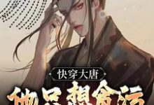 快穿大唐，他只想贪污腐败享人生章节免费在线阅读，李想完结版-够力荐小说推荐网