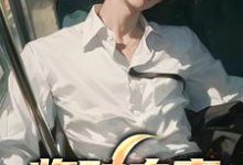 临时夫妻小说全文阅读需要付费吗?寻找免费资源-够力荐小说推荐网