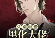 久别重逢:黑化大佬人设崩塌了沈戾纪舟野,久别重逢:黑化大佬人设崩塌了小说免费阅读-够力荐小说推荐网