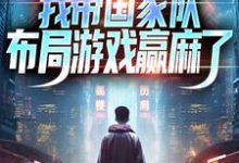 免费阅读许强王恒为主角的小说，重生之我带国家队布局游戏赢麻了在线看-够力荐小说推荐网
