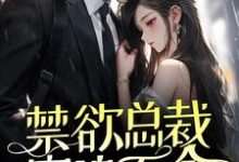 禁欲总裁穷追不舍，她掉进温柔乡了小说全文哪里可以免费看？-够力荐小说推荐网