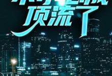 兼职明星：不小心成顶流了小说，兼职明星：不小心成顶流了免费阅读-够力荐小说推荐网