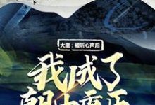 大唐:被听心声后,我成了朝中重臣免费阅读,大唐:被听心声后,我成了朝中重臣程处默李世民-够力荐小说推荐网