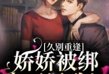 在线寻找宋煜北向枳的小说，久别重逢：娇娇被绑去了民政局免费阅读-够力荐小说推荐网