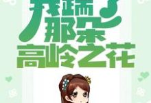 已完结小说《重生归来,我踹了那朵高岭之花》章节免费阅读-够力荐小说推荐网