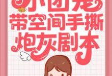 《小团宠带空间手撕炮灰剧本》小说大结局免费试读 宋晚秋霍衍小说-够力荐小说推荐网