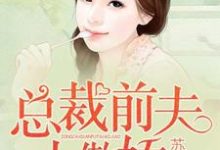 总裁前夫太傲娇这本小说在哪里可以看?哪里有免费试读章节?-够力荐小说推荐网