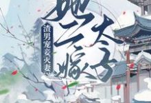 渣男宠妾灭妻？她二嫁太子这本小说完结了吗？免费查看最新章节-够力荐小说推荐网