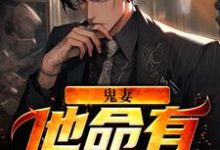 鬼妻：他命有红源这本小说在哪里可以看？哪里有免费试读章节？-够力荐小说推荐网
