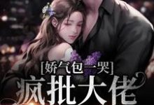 娇气包一哭,疯批大佬跪地宠小说全文阅读需要付费吗?寻找免费资源-够力荐小说推荐网