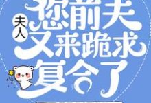 已完结小说《夫人,您前夫又来跪求复合了》章节免费阅读-够力荐小说推荐网