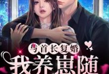 与首长复婚，我养崽随军都可行小说，与首长复婚，我养崽随军都可行宁禾贺绍川-够力荐小说推荐网