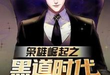 枭雄崛起之黑道时代由我统领！（雷震苏凤仪）在线免费阅读-够力荐小说推荐网