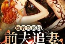 盛相思傅寒江为主角的小说叫什么？免费看她毅然离婚！前夫追妻火葬场-够力荐小说推荐网