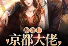 祝京棠靳泊谦的完整故事在哪里？读甜宠！京都大佬狂宠小白狐小说-够力荐小说推荐网