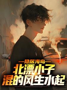 《隐居海岛，北漂小子混的风生水起》全集免费在线阅读（陈楠黑豹）