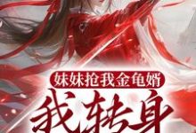 沈青岚霍君琰的故事在哪本书里?免费阅读妹妹抢我金龟婿,我转身嫁残王-够力荐小说推荐网