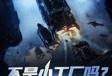 林辰小说《不是小工厂吗?怎么成军火商了》在线阅读-够力荐小说推荐网