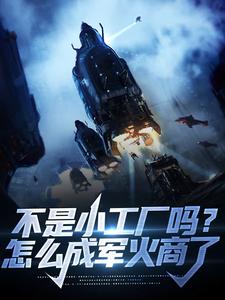 林辰小说《不是小工厂吗？怎么成军火商了》在线阅读