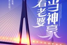 《重生奶爸，带着老婆当神豪》小说主角叶辰陈一诺章节章节免费在线阅读-够力荐小说推荐网