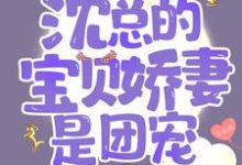 宠婚成瘾:沈总的宝贝娇妻是团宠小说,宠婚成瘾:沈总的宝贝娇妻是团宠章节在线阅读-够力荐小说推荐网