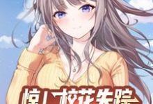 惊！校花失踪，月子中心喊我报道林轩李梦瑶小说大结局免费试读-够力荐小说推荐网