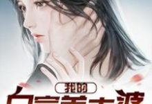 我的白富美老婆小说的最新章节在哪里更新？免费追踪阅读-够力荐小说推荐网