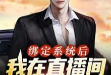 林尘是哪本书的主角?绑定系统后,我在直播间甩卖通缉犯免费读-够力荐小说推荐网