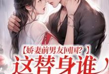 娇妻前男友回国？这替身谁爱当谁当小说免费资源，娇妻前男友回国？这替身谁爱当谁当在线阅读-够力荐小说推荐网