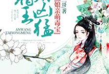 《腹黑娘亲萌毒宝：暗王，太凶猛！》小说章节列表免费试读，柳安安司徒暗柳元宝清风小说在线阅读-够力荐小说推荐网