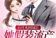 白月光回国后，她假装流产跑路了小说最新更新在哪里？免费在线看-够力荐小说推荐网