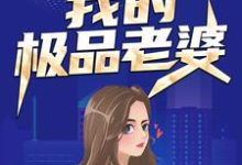 我的极品老婆小说的最新章节在哪里更新？免费追踪阅读-够力荐小说推荐网