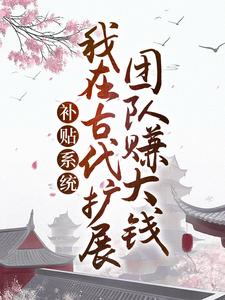 补贴系统：我在古代扩展团队赚大钱赵百汇赵锦衣小说免费阅读