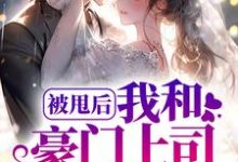 宁以夏陆司霆是哪本书的主角?被甩后,我和豪门上司闪婚了免费读-够力荐小说推荐网