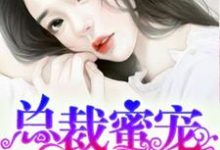 求总裁蜜宠小娇妻小说免费资源-够力荐小说推荐网