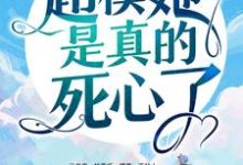 主角阮知夏陆景深小说陆总别虐了，超模她是真的死心了！免费阅读-够力荐小说推荐网