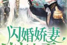 闪婚娇妻宠上天小说的免费阅读版本在哪里可以找到?-够力荐小说推荐网