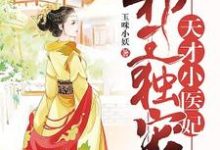 秦晚段尧的完整故事在哪里？读邪王独宠：天才小医妃小说-够力荐小说推荐网