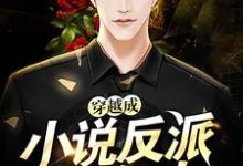 想读林天的故事,哪里可以免费找到穿越成小说反派怎么办?-够力荐小说推荐网